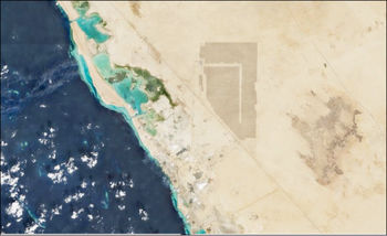 تراشه‌ها در بیابان