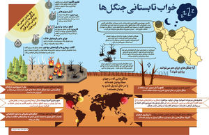 خواب تابستانی جنگل‌‌ها
