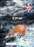 بیم موج